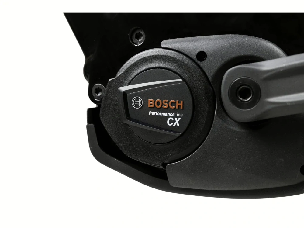 PELLS Thorr Bosch Lowstep